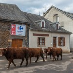 Le centre du bourg de Chaussenac en Cantal - Région Auvergne - Latitude 45.179 degrés Nord, longitude 2.277 degrés Est, altitude moyenne 700 m - 1613 ha - 235 habitants - 1900 bovins.